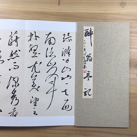 书法中书协老师作品
