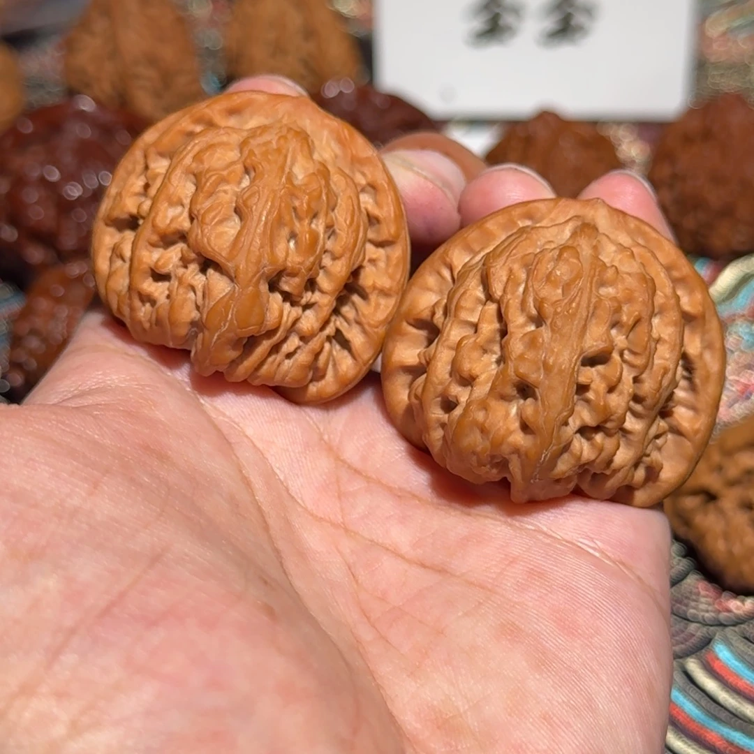 把件核桃098平谷九龙，尺寸42