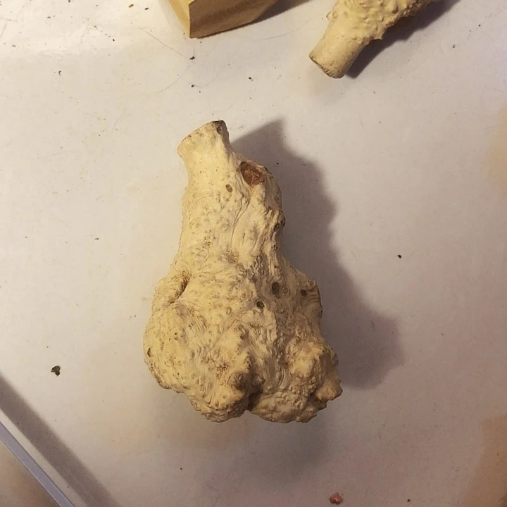 火***子木木料木料木料木料