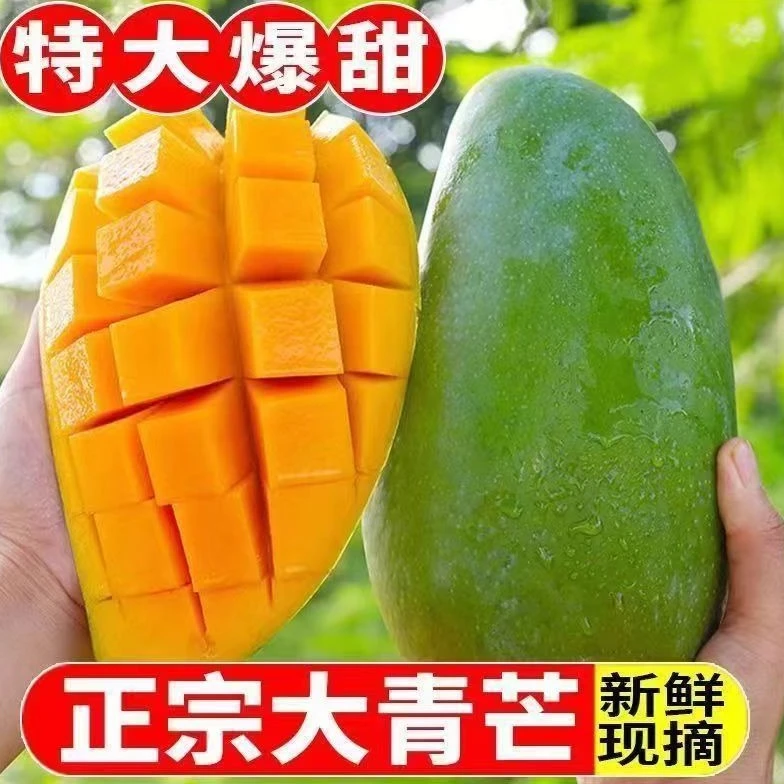 【大果芒果】新鲜大果芒果金煌芒果现摘现发香甜多汁水果8斤箱