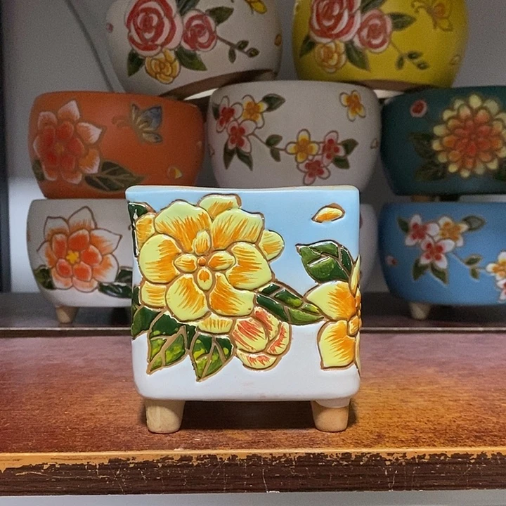 韩式多肉植物花盆