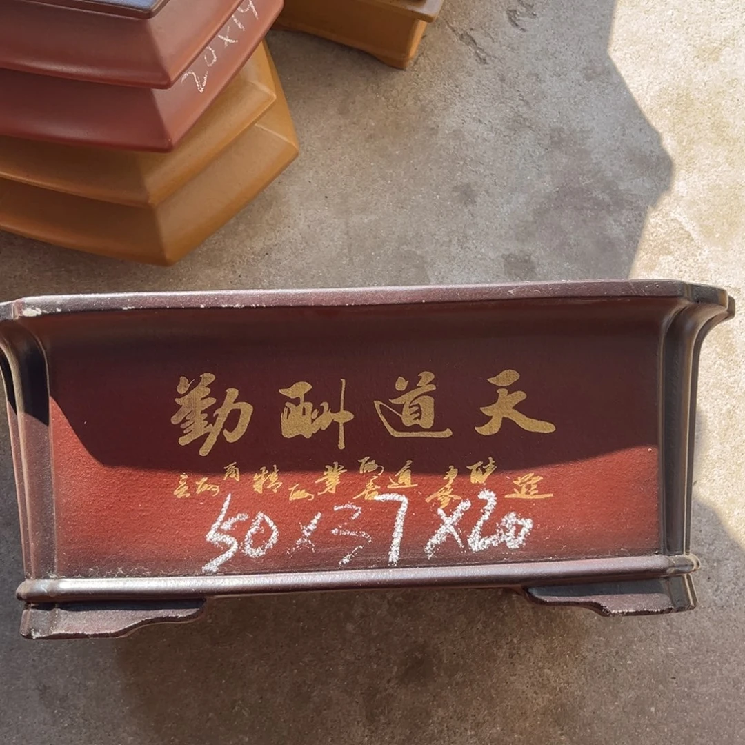 花盆紫砂盆景艺术