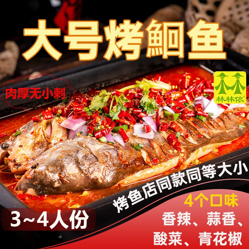 清江鱼大烤鱼 半成品烤鮰鱼半天妖同款烧烤火锅户外食材商用批发