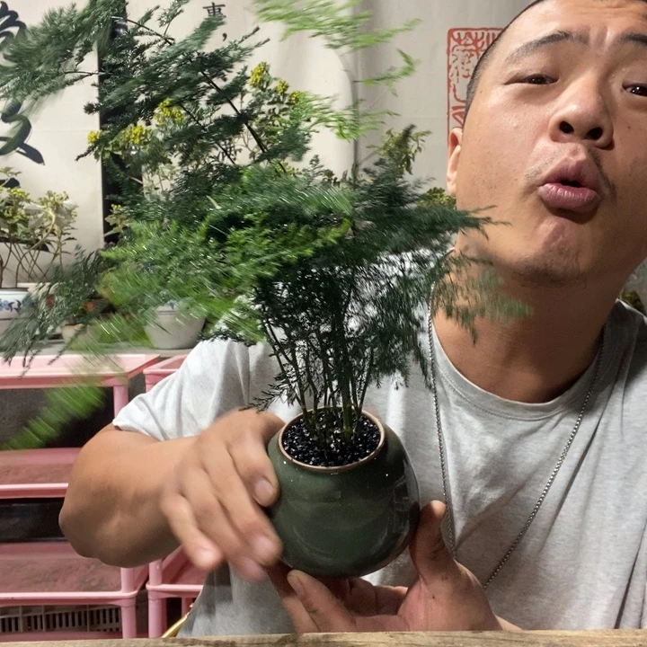 无花朵退款拉黑拉黑23