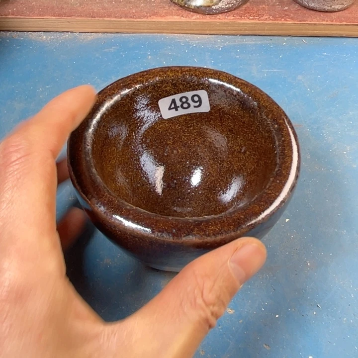 茶宠盏盏灯都是我的爱啊我