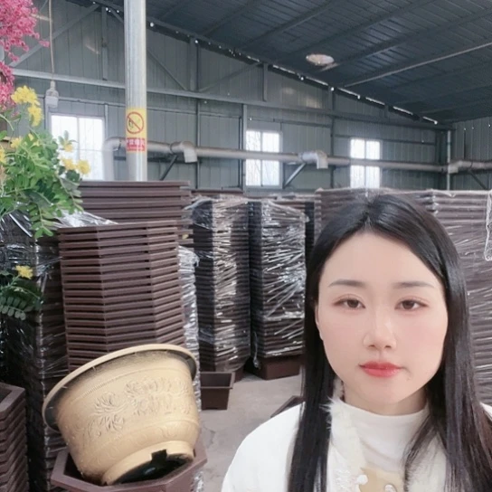 复合凤纹45花盆5个有孔