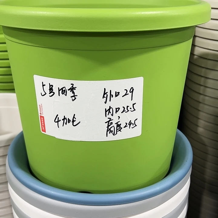 特价5号口29高24.5白色5只无托