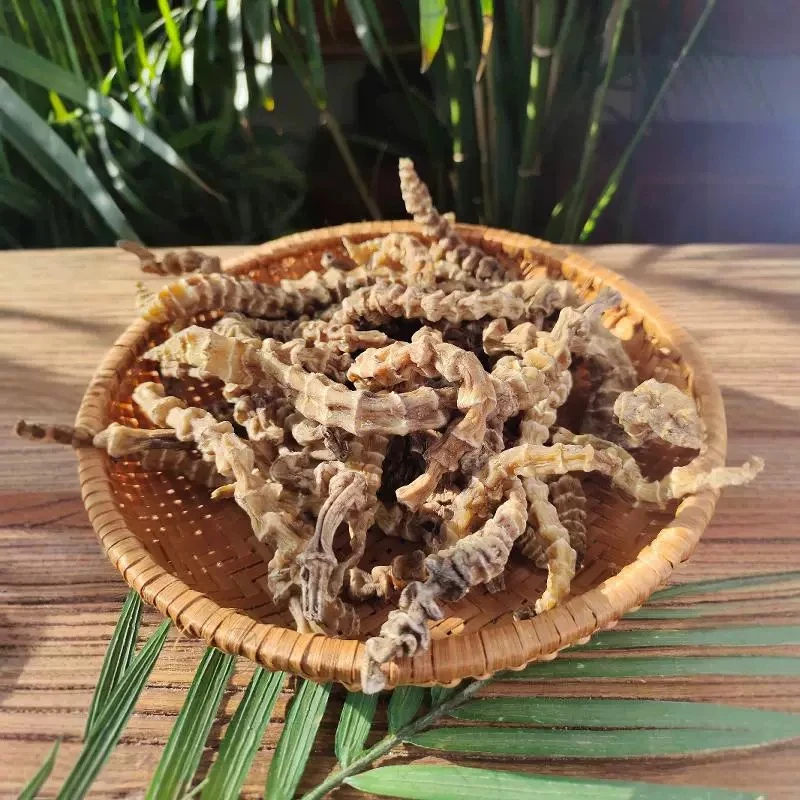 （A默默专属） 新货 云南特产虫草参 干货  无硫 品质严选