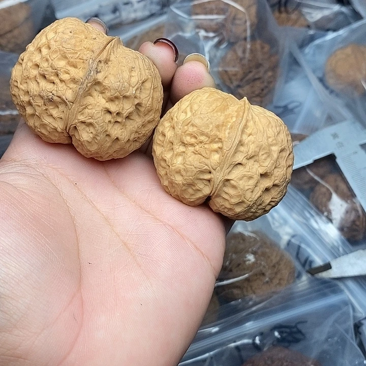 文玩核桃把件78号46mm