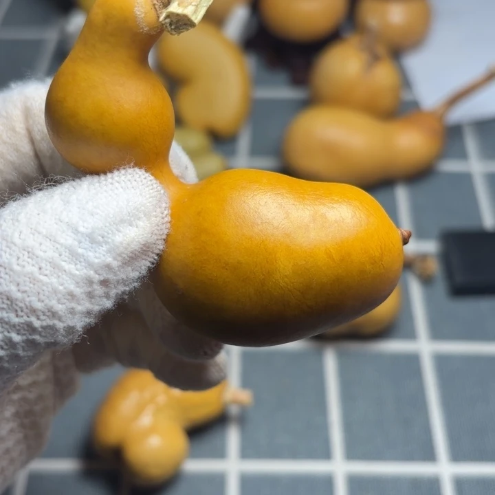 5***9色差666666666666666