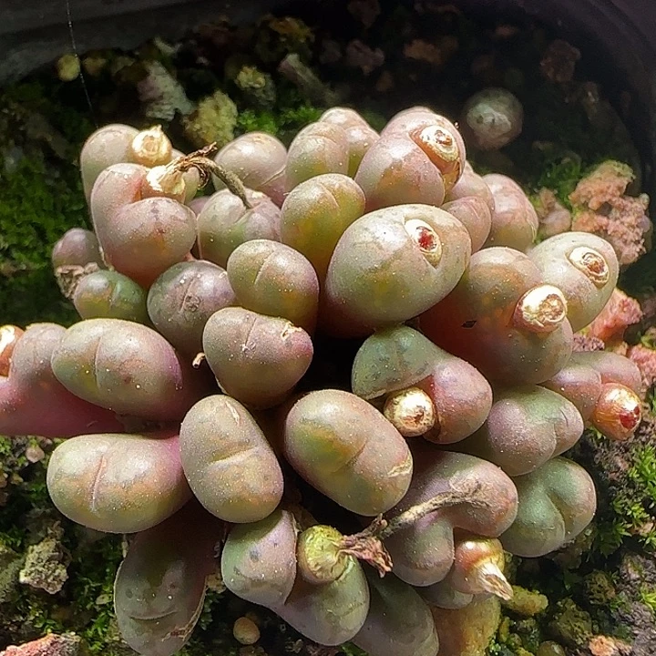 哈哈哈哈哈哈哈哈哈哈264