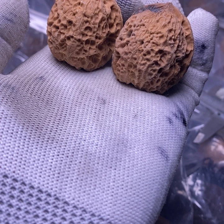 吊坠文玩核桃云南铁核桃炸福利，57