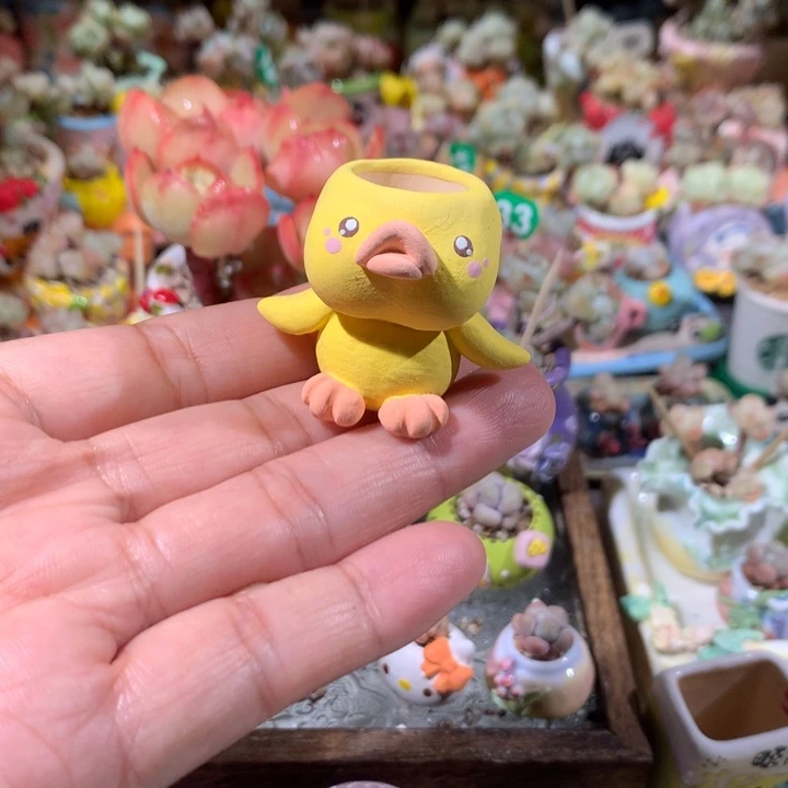 4号  内口2  满100包邮