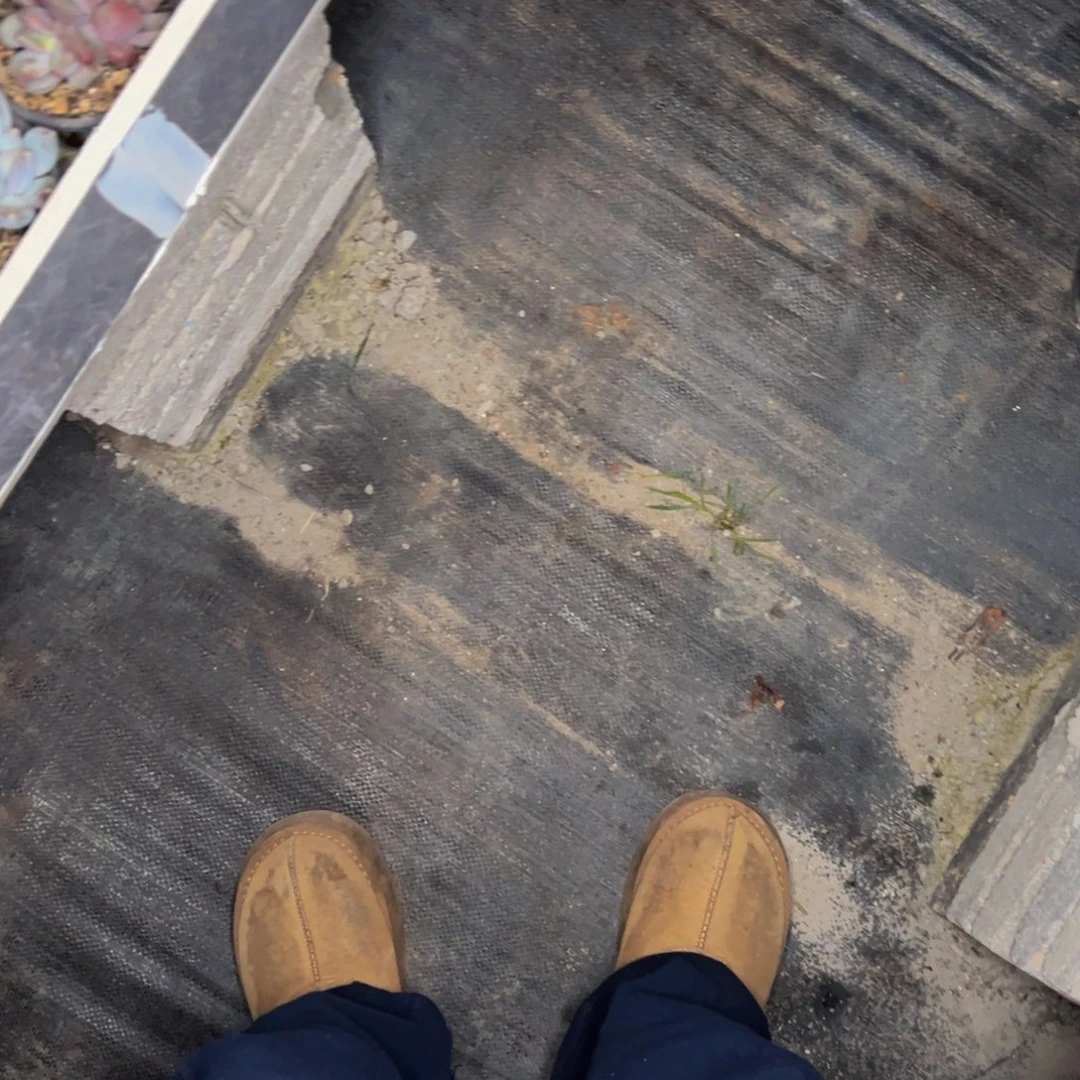 白*呜呜呜呜呜呜呜呜呜谢谢