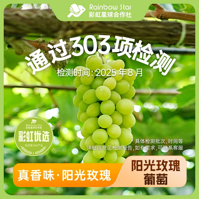 彩虹星球优选｜阳光玫瑰5斤装新鲜现摘现发葡萄香甜水果