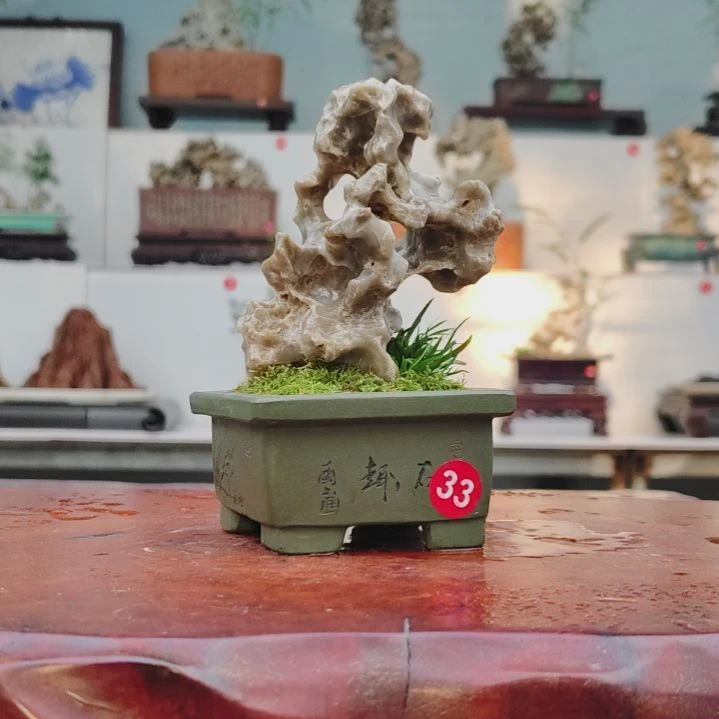 无花朵盆景，菖蒲，玉玲珑