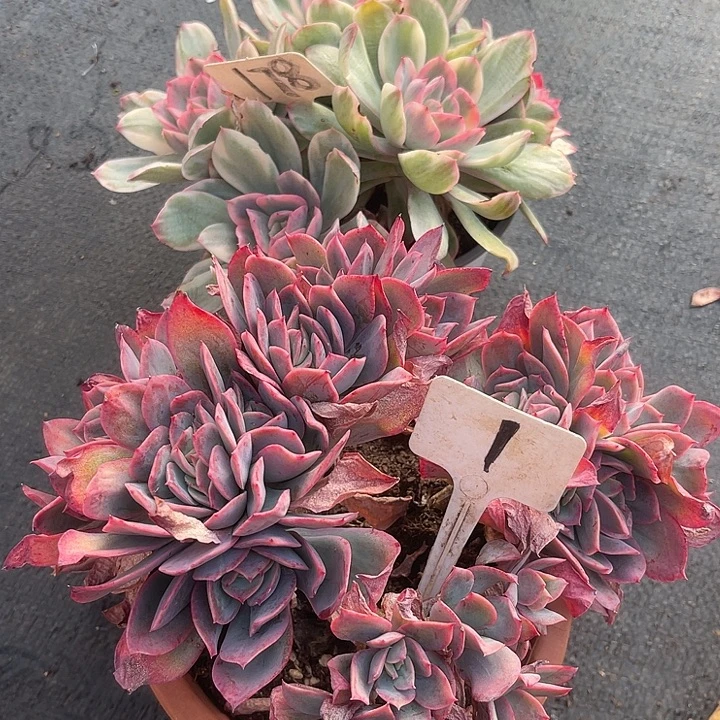 两单包邮，今天全场福利，178,1