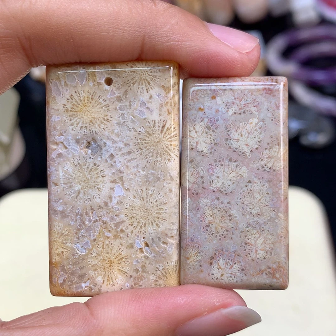 【闪购商品】颈饰未镶嵌硅化珊瑚（珊瑚玉）68号福利