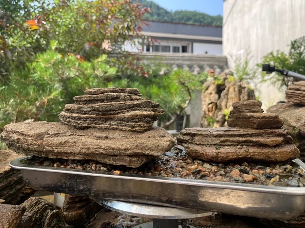 秦岭溪流石姚先生精选