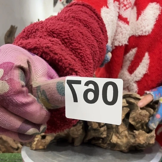 金****卉紫砂的味道很好