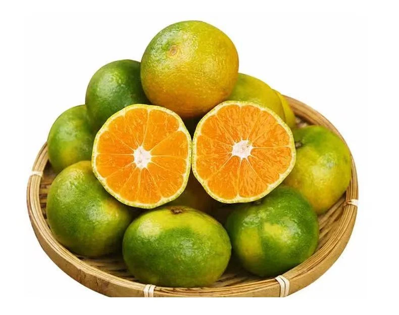 新鲜应季正宗蜜桔香甜细腻皮薄无籽孕妇水果