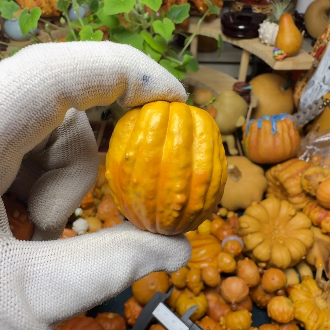 送****?特价葫芦不退不换