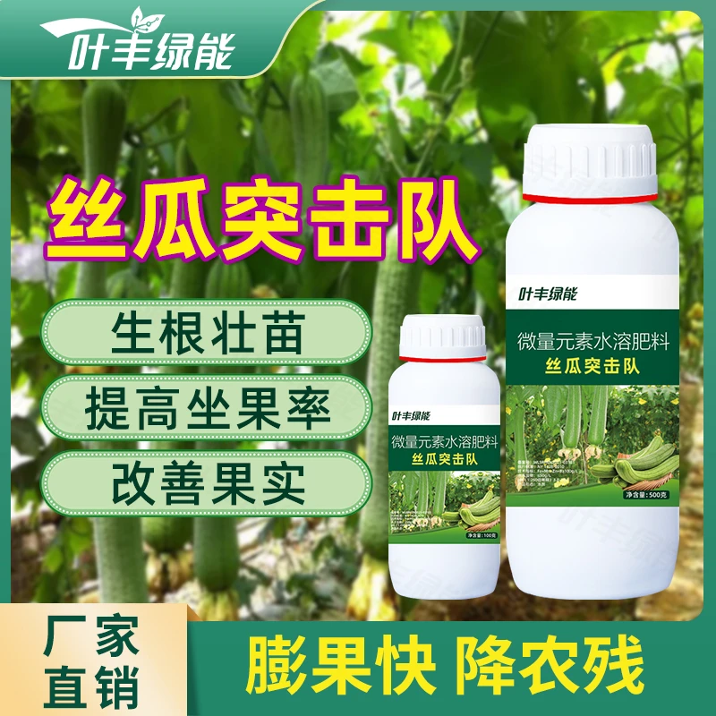 叶丰绿能丝瓜突击队补充营养促进分化健壮植株微量元素水溶肥料