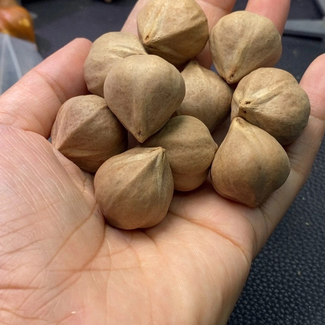 猎***）橄榄核手串/手链1