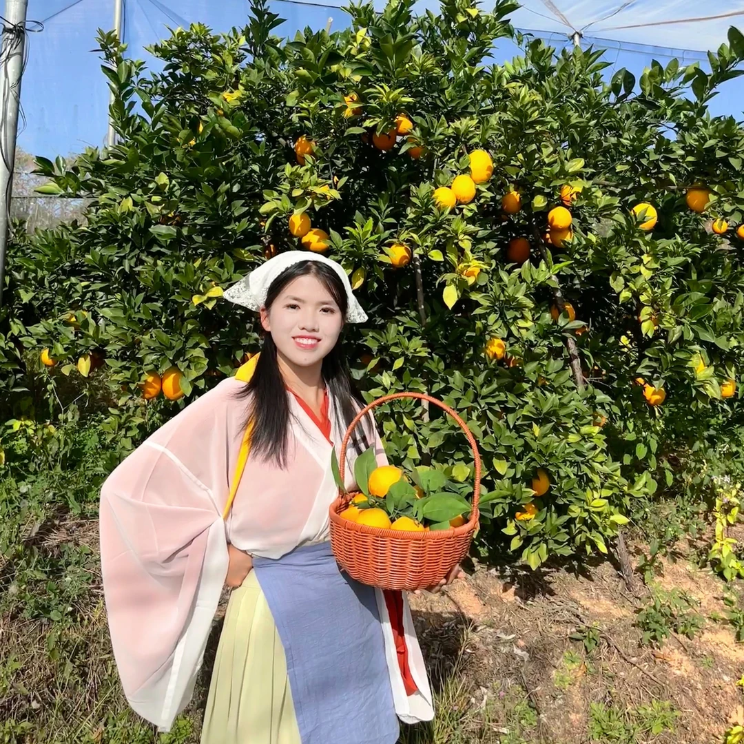 正宗寻乌赣南脐橙原产地直发皮薄香甜多汁手剥橙子包邮脐橙赣南