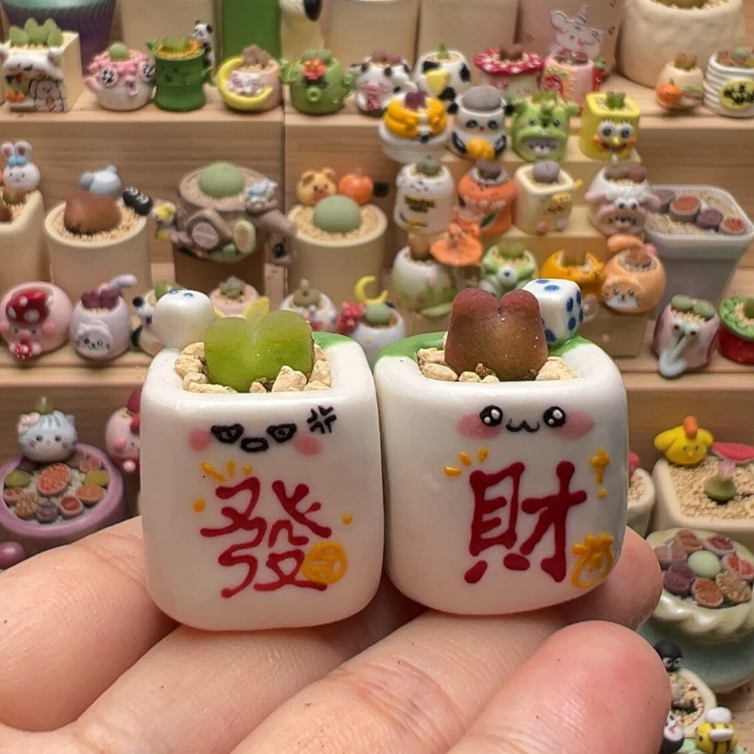 多肉植物64号一对发财