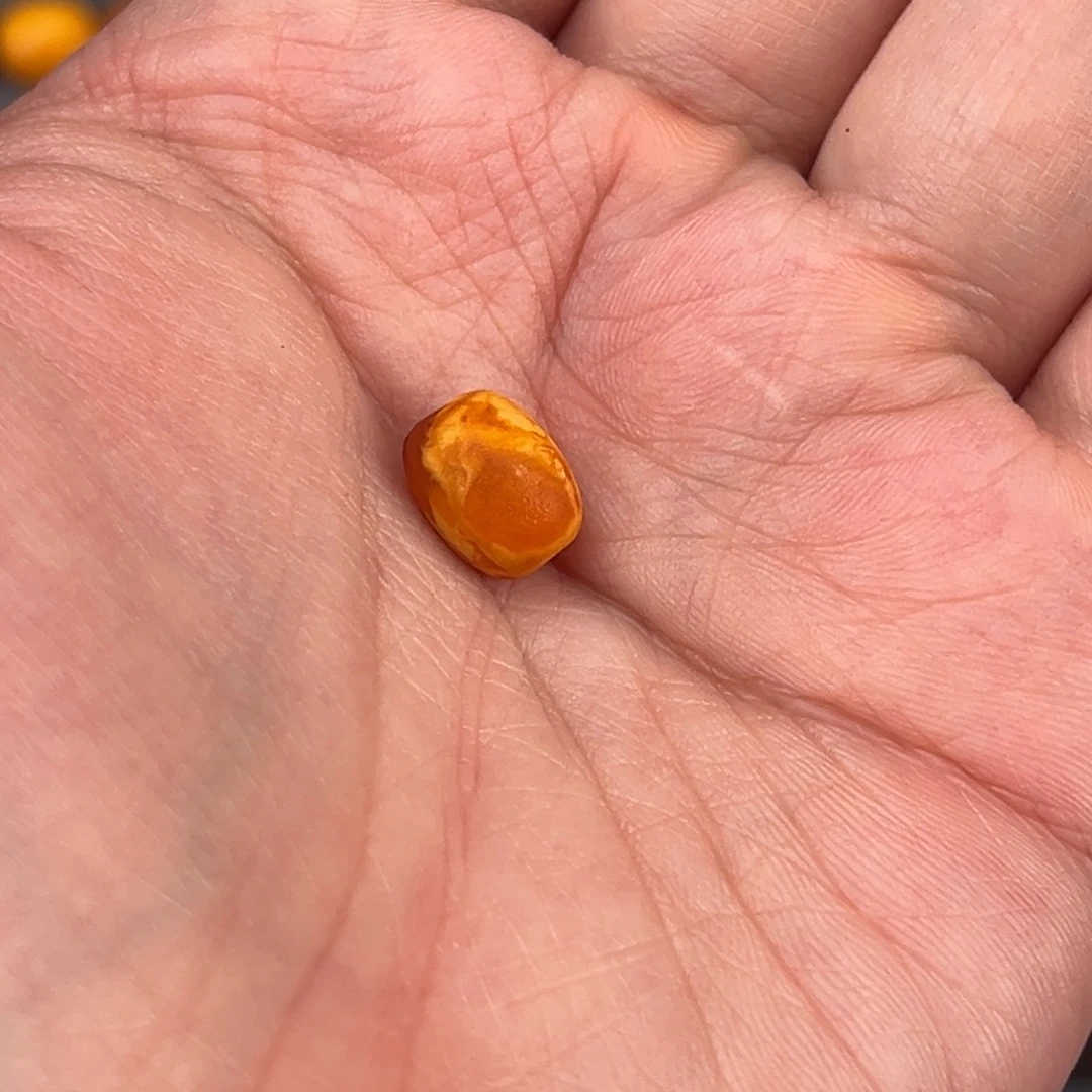 琥珀裸石未镶嵌用****3定制