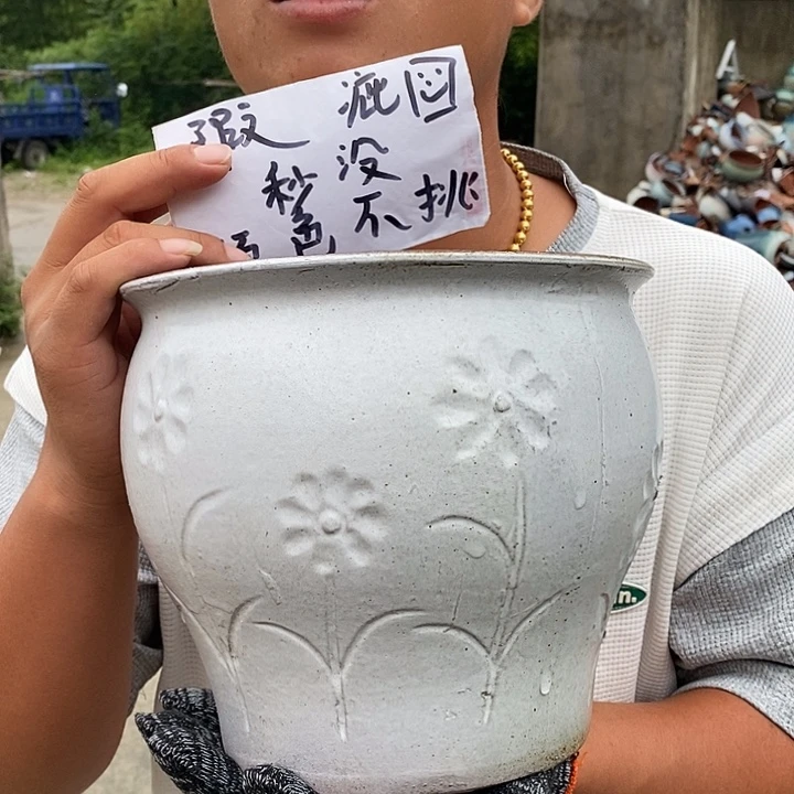 瑕疵颜色不挑瑕疵