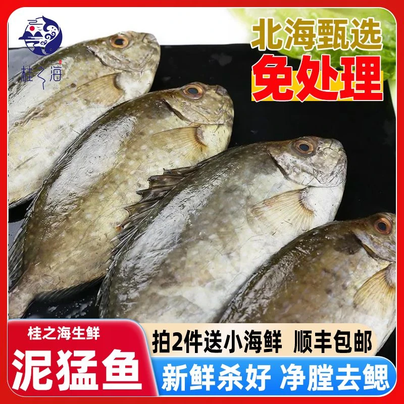 北海泥猛鱼新鲜冷冻深海鱼鲜活去鱼鳃去内脏免处理海鲜尼孟柠檬鱼