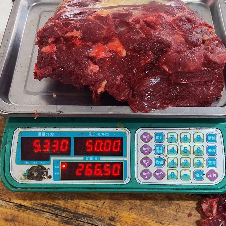 广西土耕马马肉、沙姜炒马肉中国大陆