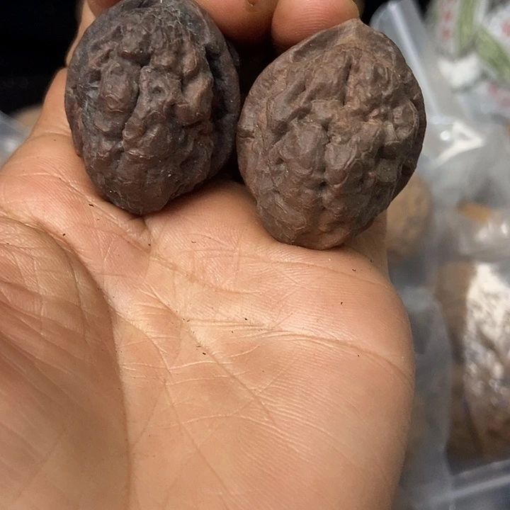 把件文玩核桃云南铁核桃基地36