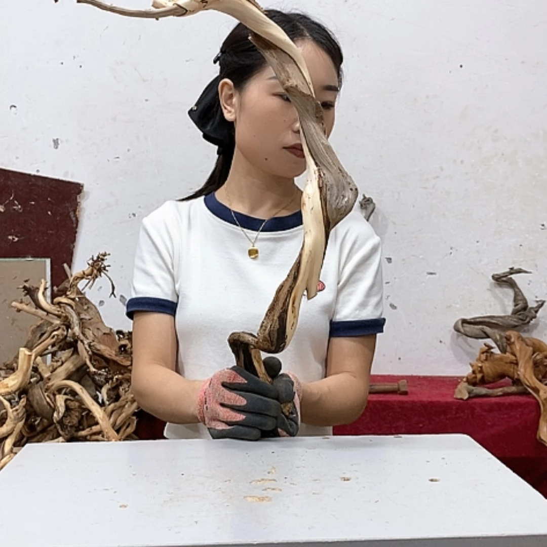 【闪购商品】柏木用****4我们都是好孩子
