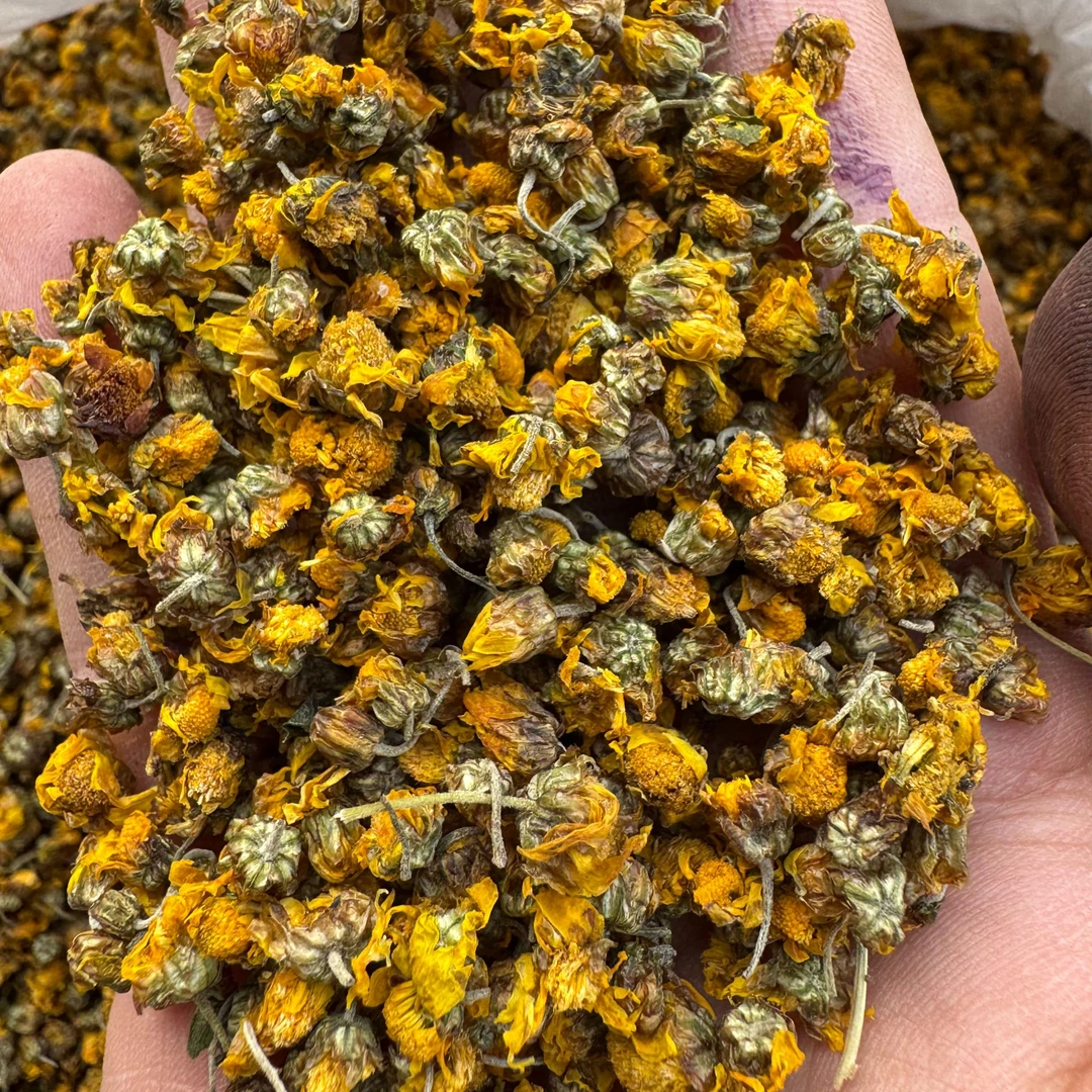 【叶子推荐】贵州山货野菊花500g包邮