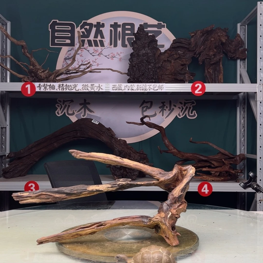 核桃木/黑胡桃（胡桃木）此**处978