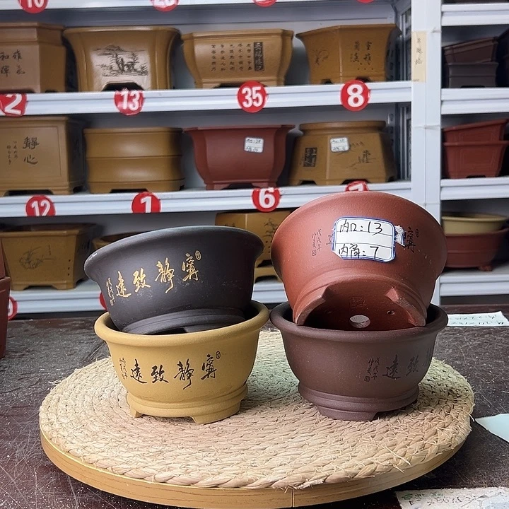 紫砂花盆蛇年大吉