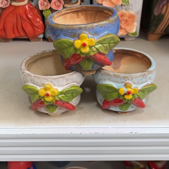 粗陶材质多肉花盆