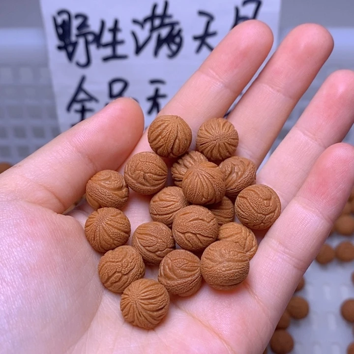 手串桃核野生满天星 11mm左右 20颗 （不打孔）