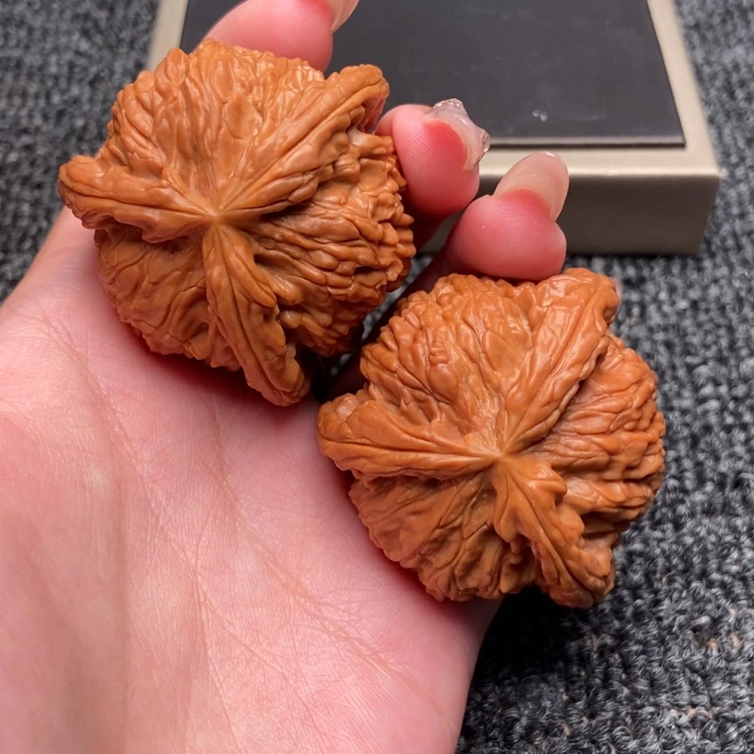 木质类白狮子正奔