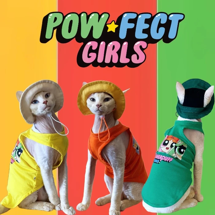 春夏斯芬克斯无毛猫德文阿比西尼亚猫衣服假两件护肚背心小猫