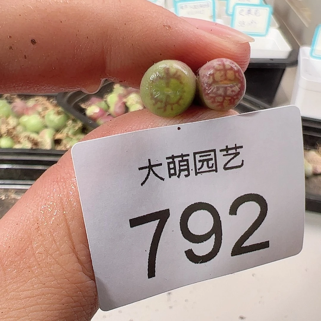 0000792 一物一拍……