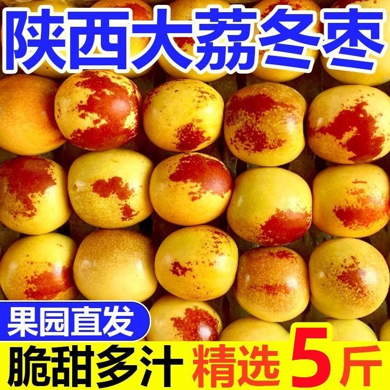2025头茬陕西大荔冬枣 冰糖脆甜枣子新鲜水果大枣