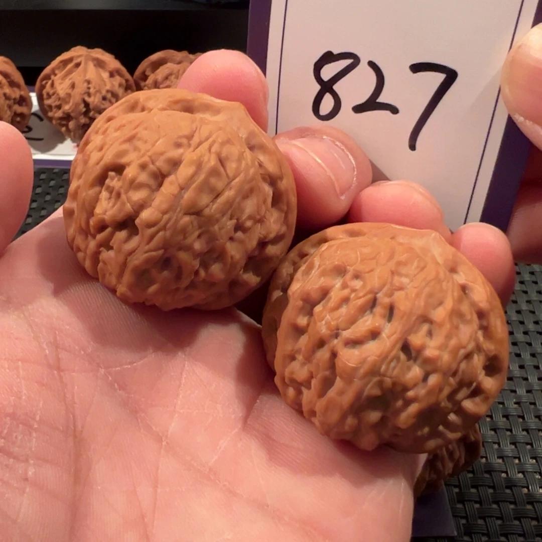 文玩核桃把件全品乾隆磨37+尺寸827号