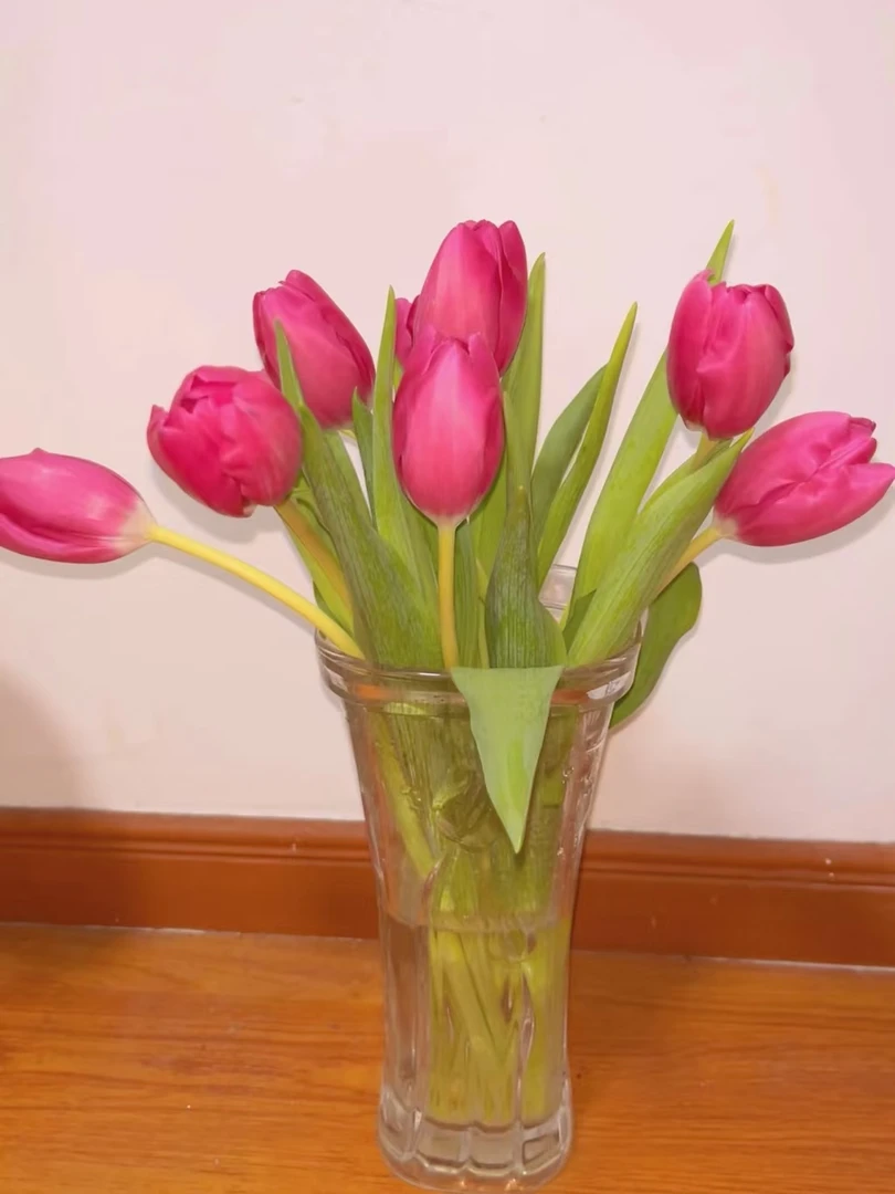 方德倾城郁金香一把（一把10支）云南基地鲜花   家养    水养