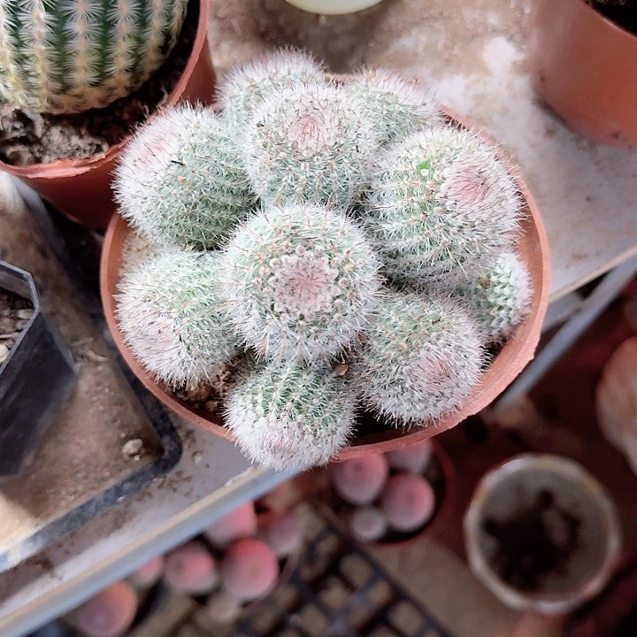 肉***ღ哈哈哈哈哈哈哈哈哈哈