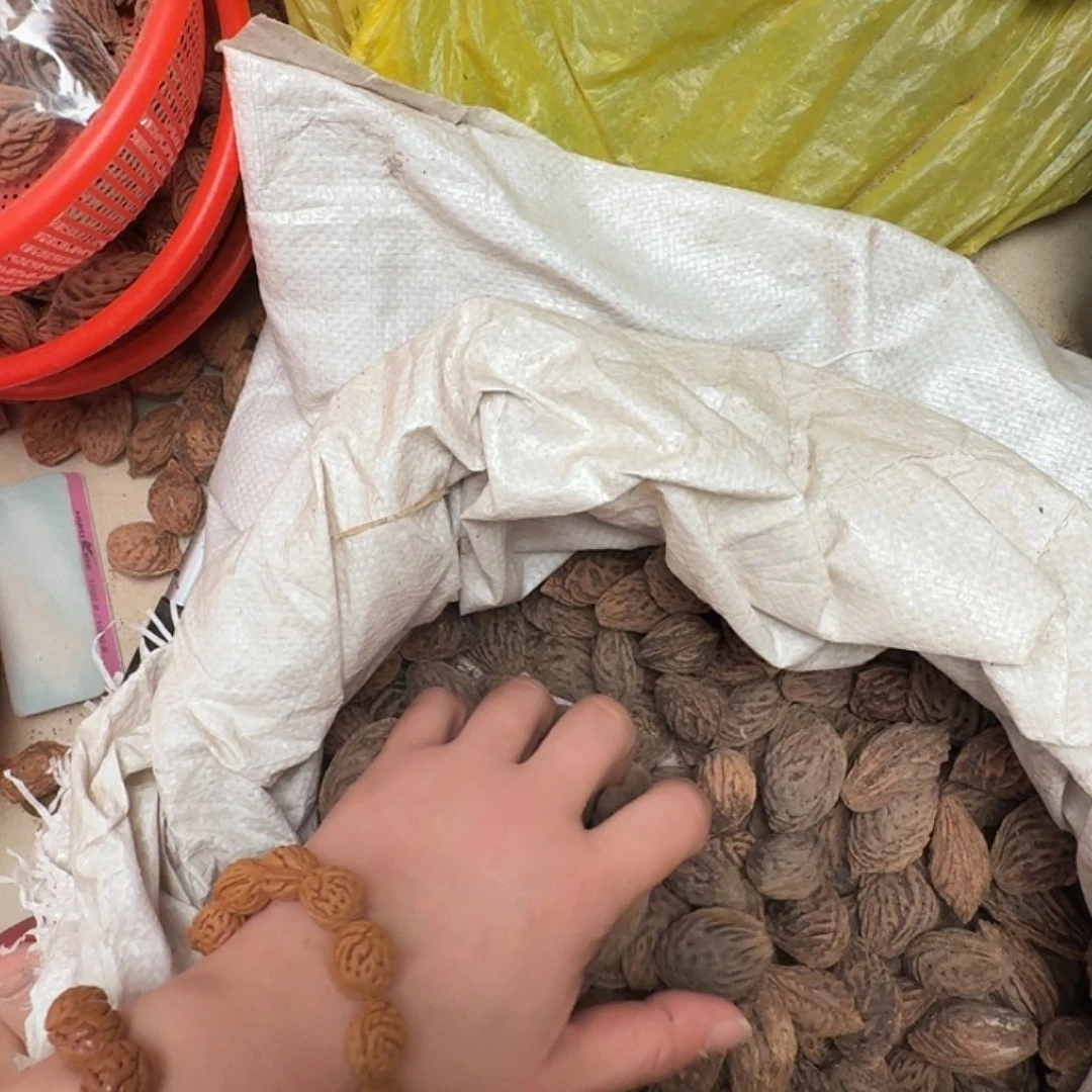 精品大长腿手持12颗无修