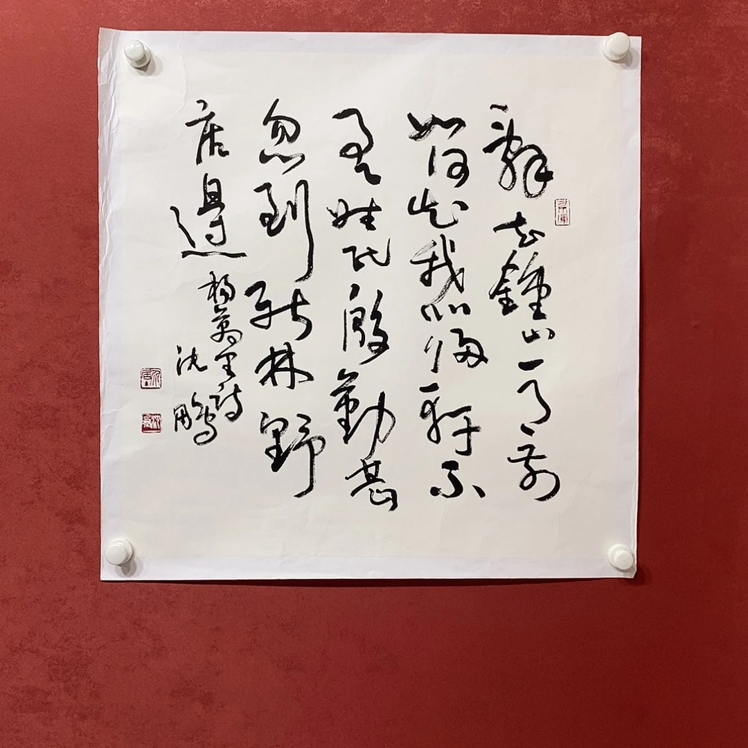 辞去钟山直播大漏